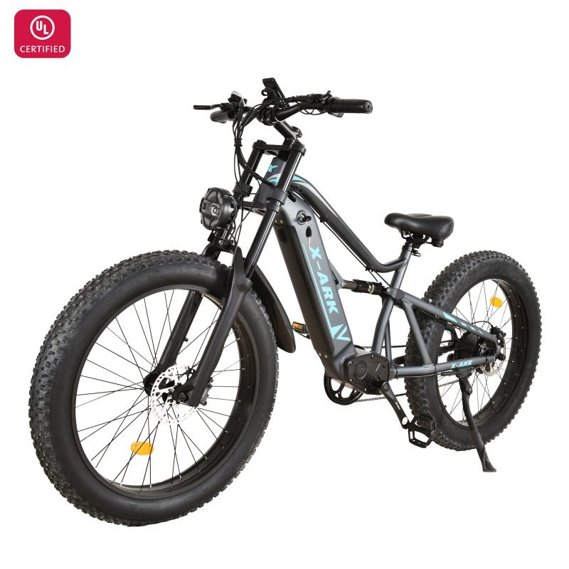 Electric Bike