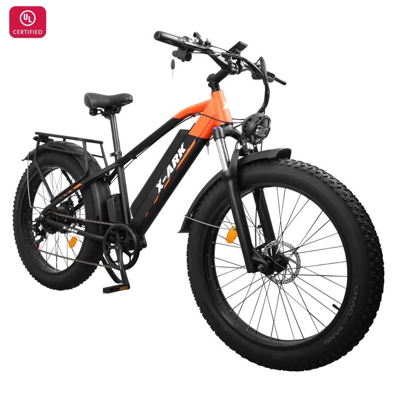 Electric Bike