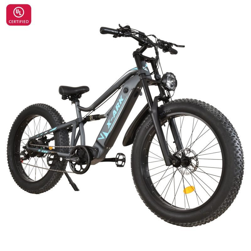 Electric Bike